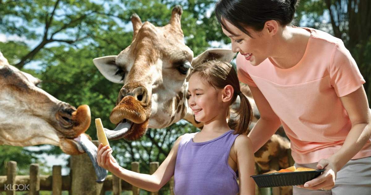 k voucher code swiss 'Open Buy Famous Tickets Online Singapore Zoo World k voucher code swiss 'Open Buy Famous Tickets Online Singapore Zoo World
